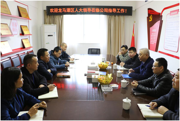 龍馬潭區(qū)人大主任黃月桂蒞臨公司調(diào)研指導(dǎo)