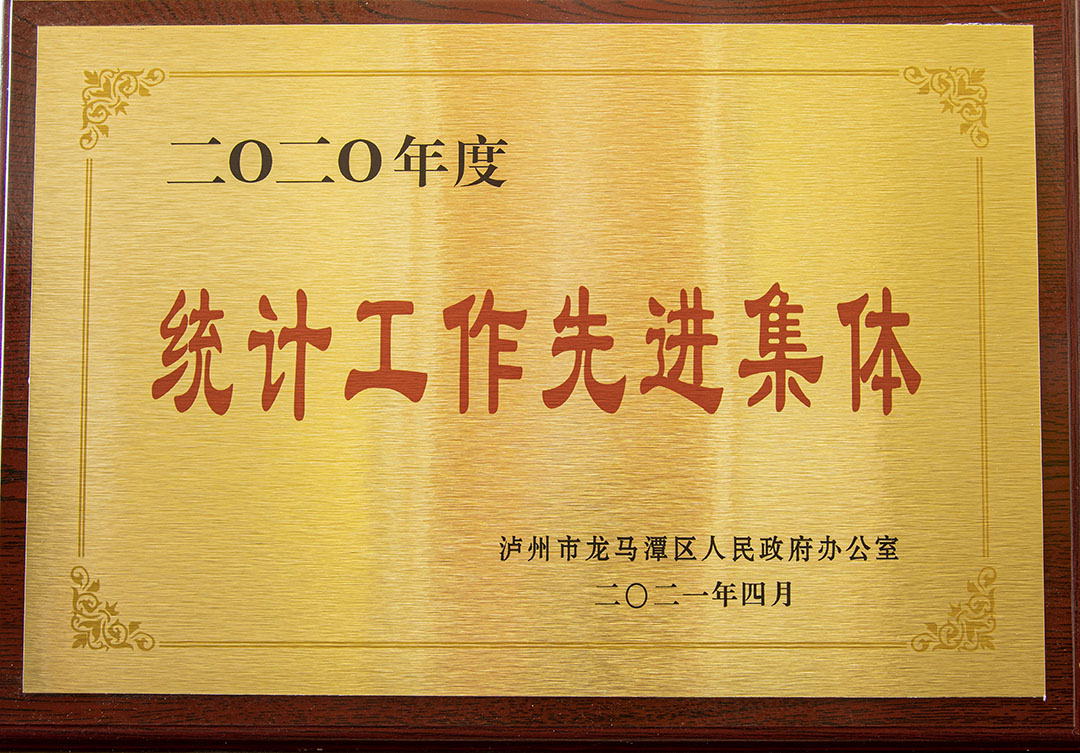 2020年度統(tǒng)計(jì)工作先進(jìn)集體