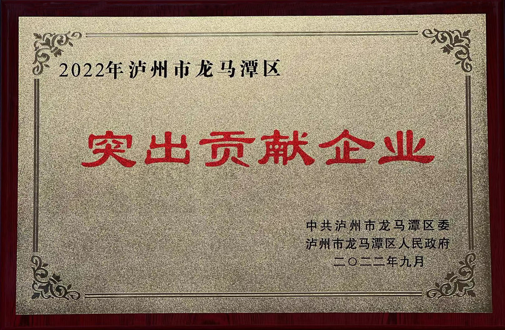 2022年瀘州市龍馬潭區(qū)突出貢獻企業(yè)